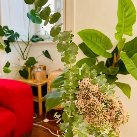 Apartmán Warm & Vibrant Cosy *